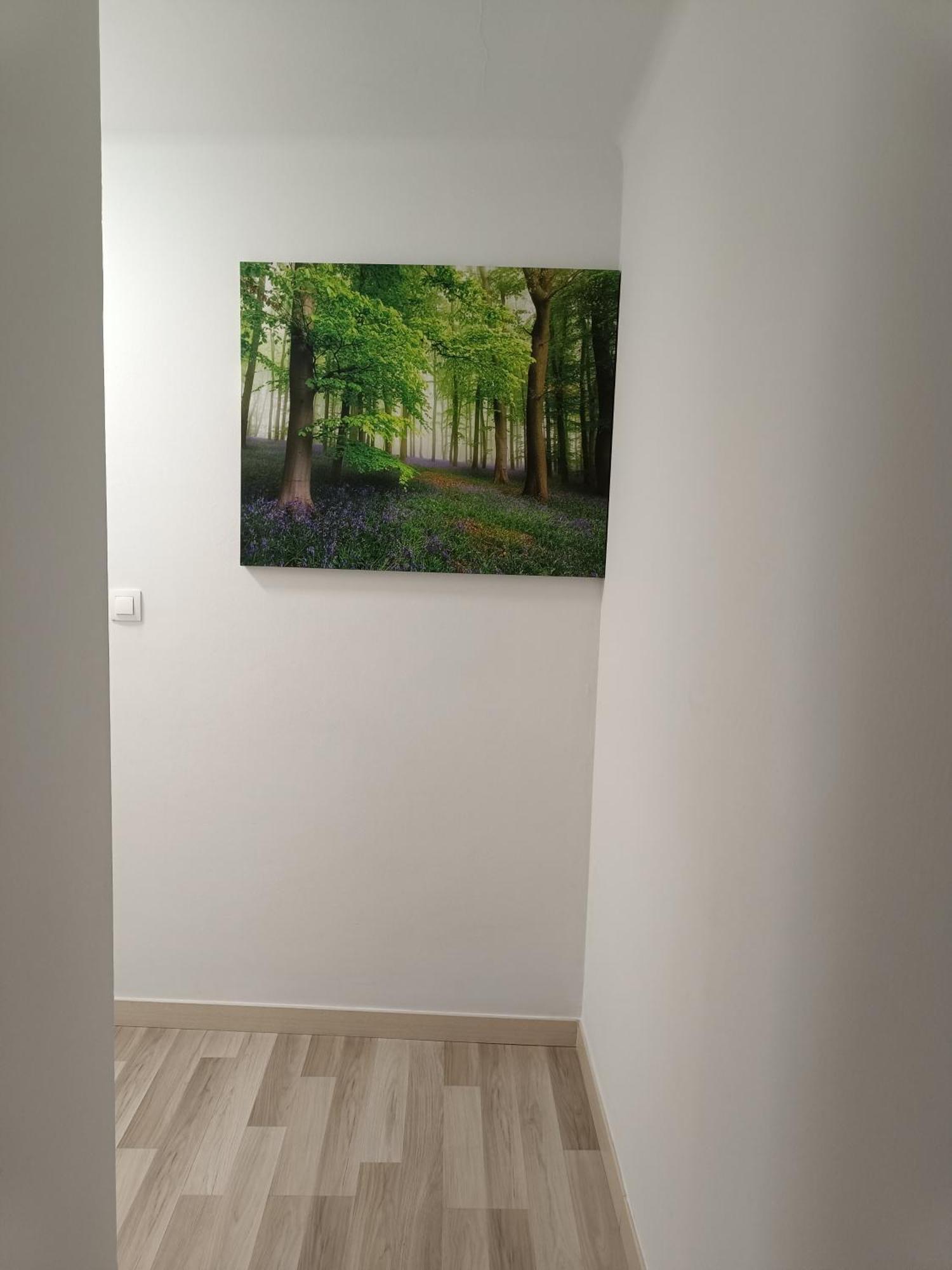 Apartamento Confort I Сео-де-Уржель Экстерьер фото